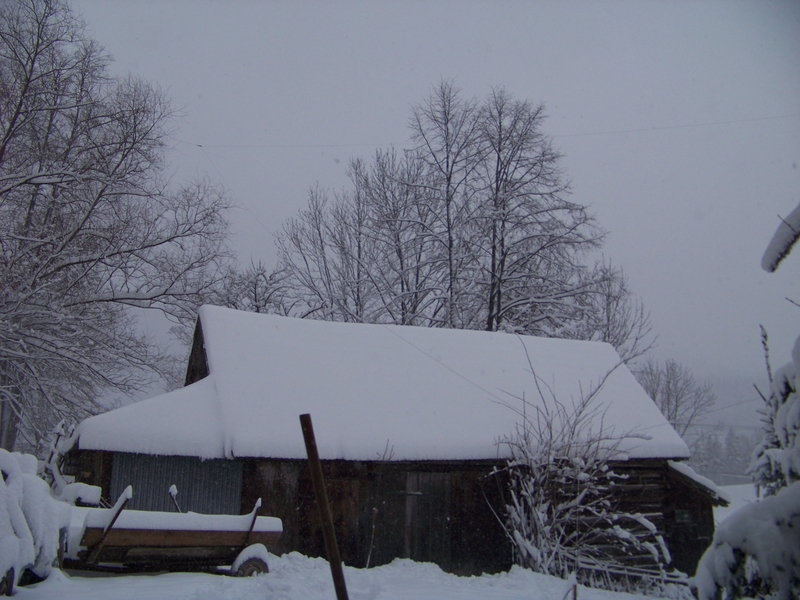 Antenozagadka nr.2