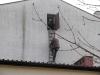 img_0305_t1.jpg