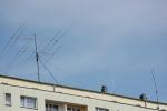 dsc_0129_t1.jpg