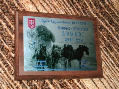 Dzień Łącznościowca 2013 1 w SP