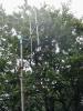 20130720_123026_t1.jpg