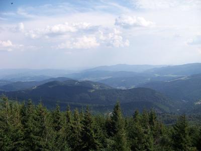 Mogielica