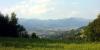 cam00017_t1.jpg