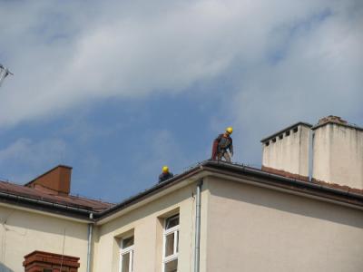 img_1224_1.jpg