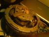 dsc01117_t1.jpg