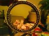 dsc01119_t1.jpg