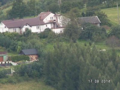 obraz_003_1.jpg