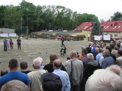 img_1969.jpg
