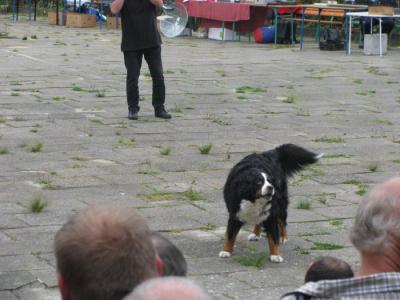 img_1970.jpg