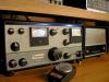 swan-240-lg_t1.jpg