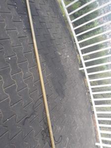 20190907_085931.jpg